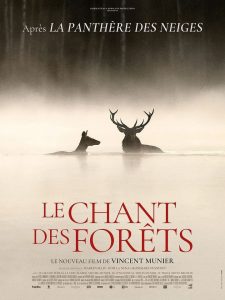 le chant des forets